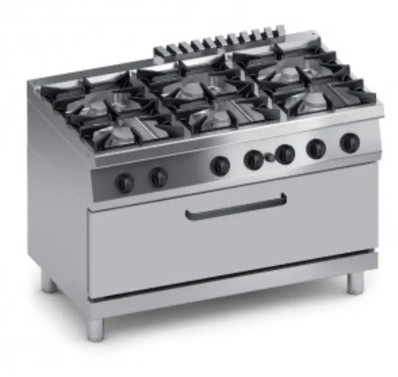 Cocina De 6 Hornillas A Gas Con Horno